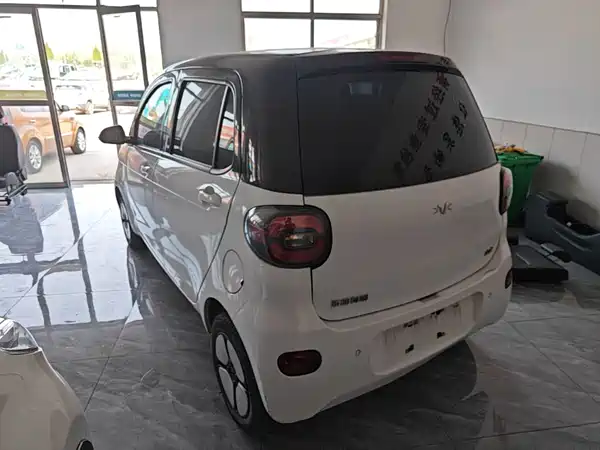 Xiaohu EV 2022