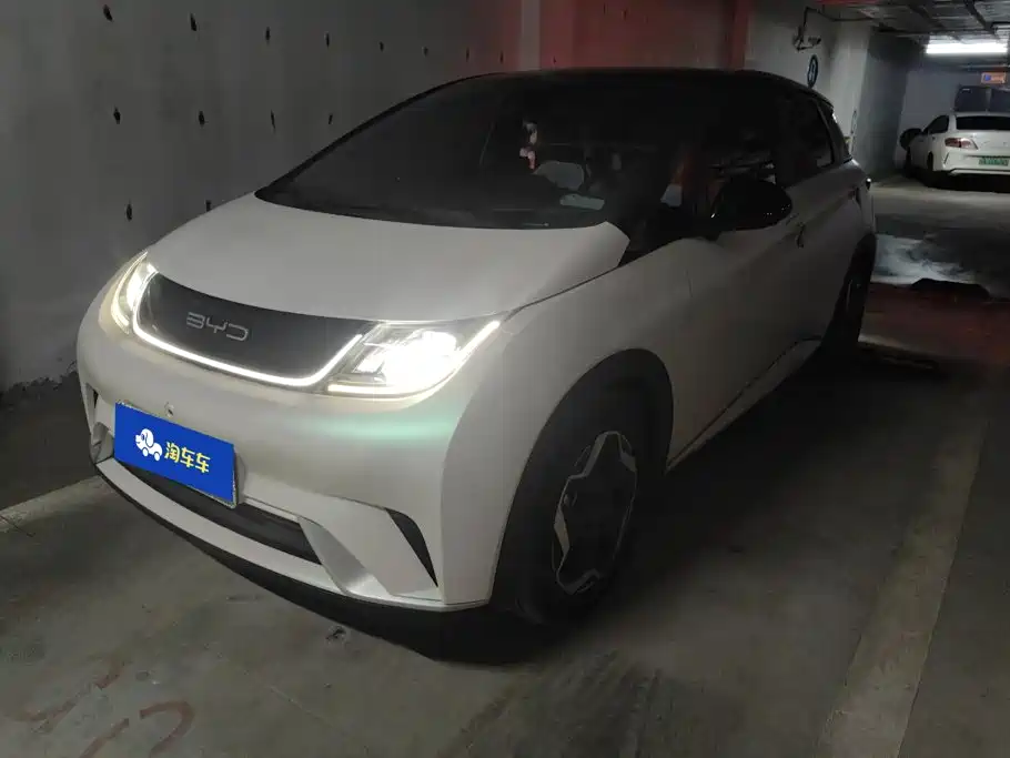 BYD Dolphin 2021