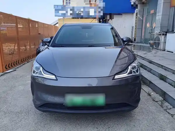 Neta V 2021