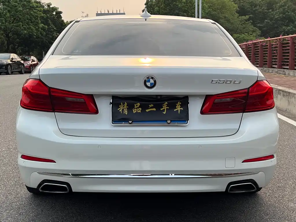 BMW 5 Series 2019 — фото 6