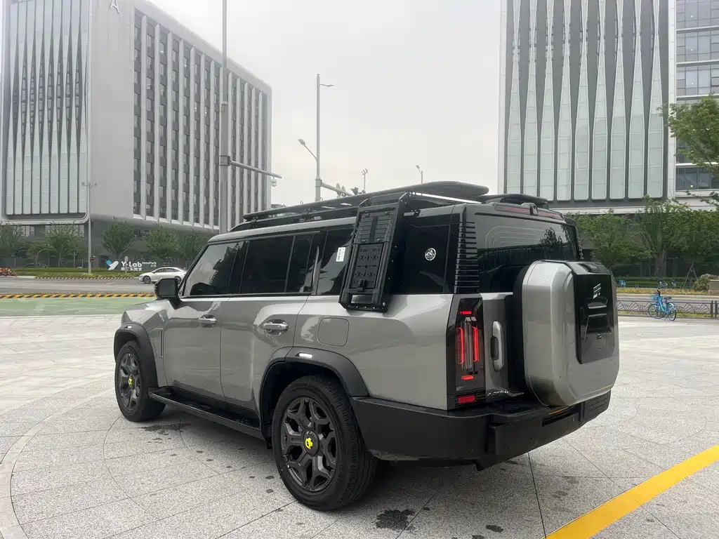 Shanhai Traveller C-DM 2025 — фото 12