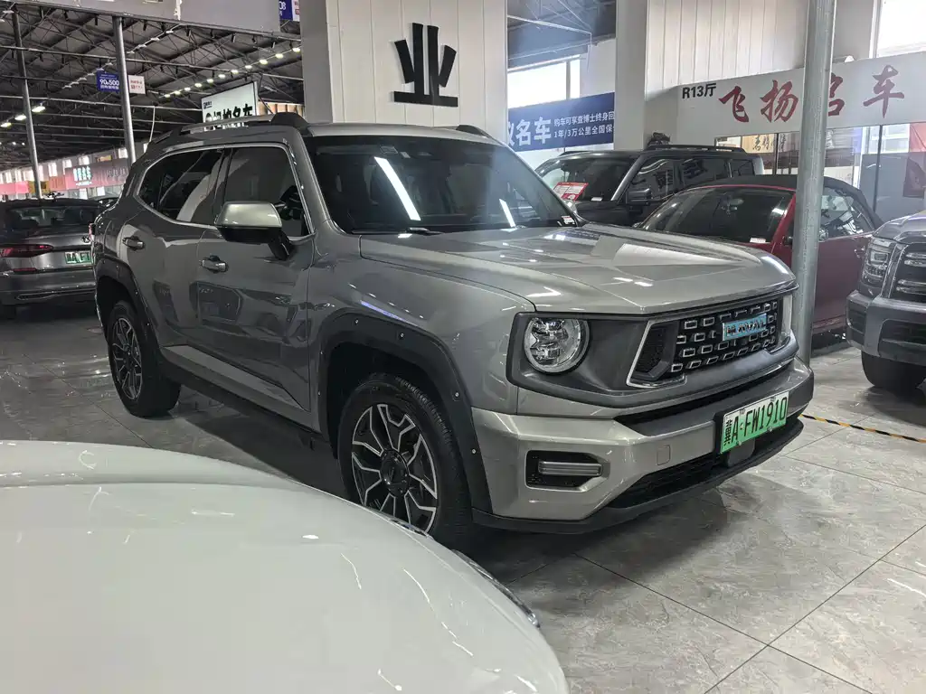 Haval Big Dog PLUS New Energy 2023 — фото 2