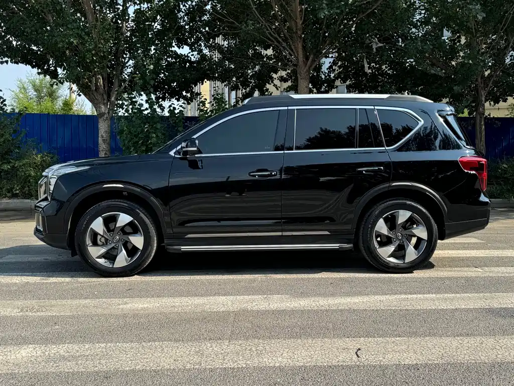 GAC Trumpchi GS8 2021 — фото 4