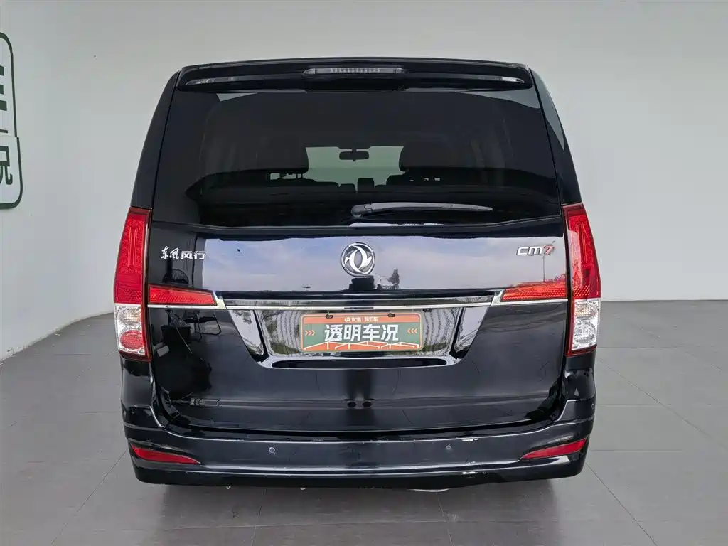 Fengxing Lingzhi PLUS 2020