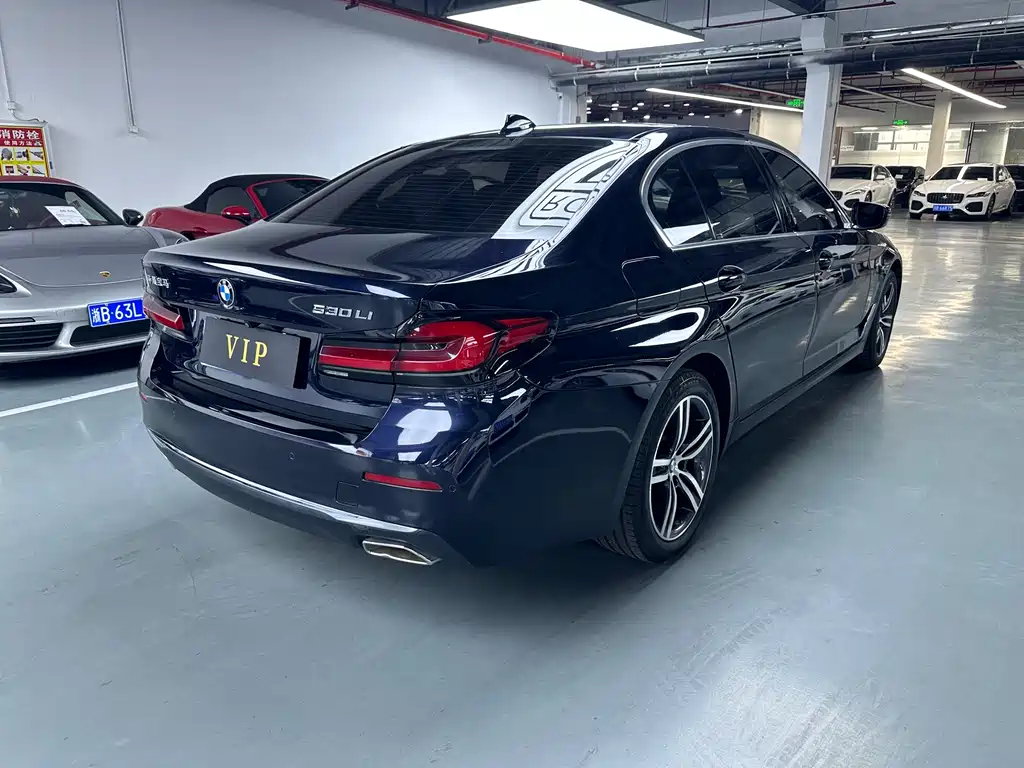 BMW 5 Series 2020 — фото 13