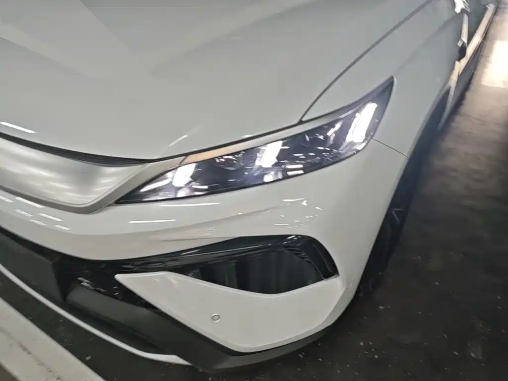 BYD Pro New Energy 2025 — фото 24