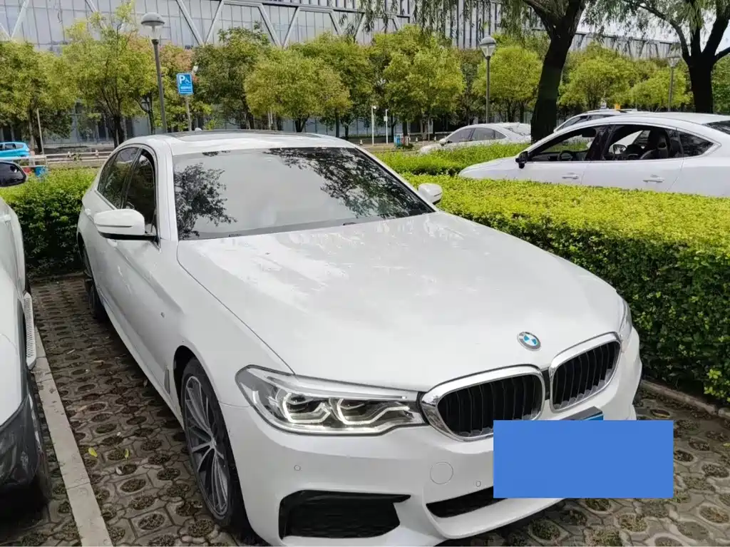 BMW 5 Series 2019