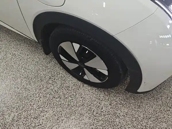 BYD Dolphin 2023