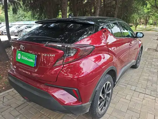 Toyota IZOA 2019