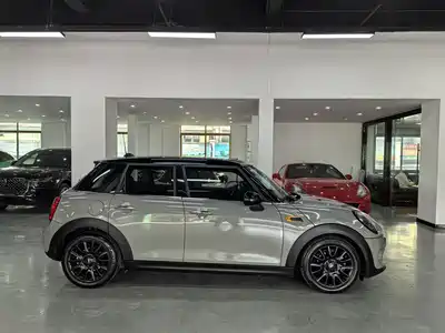 MINI MINI 2018