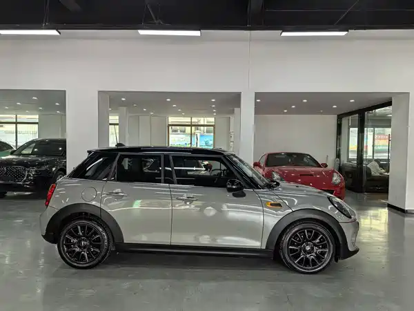 MINI MINI 2018