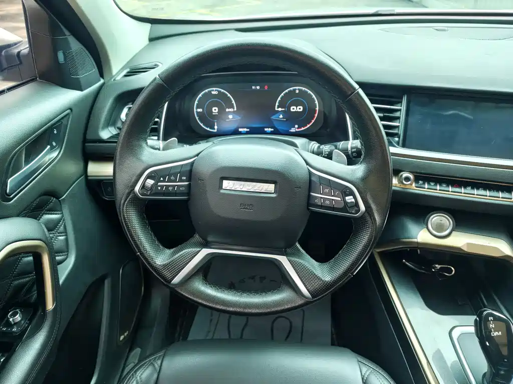 Haval H6 2019 — фото 12