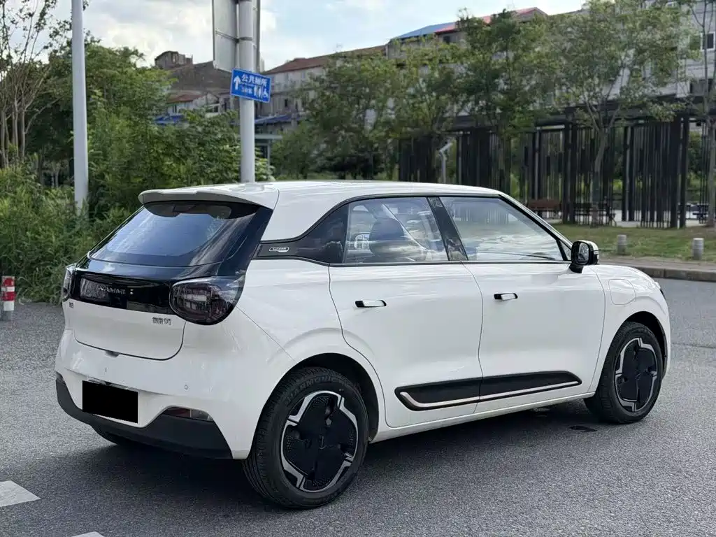Dongfeng Nano 01 2024 — фото 11