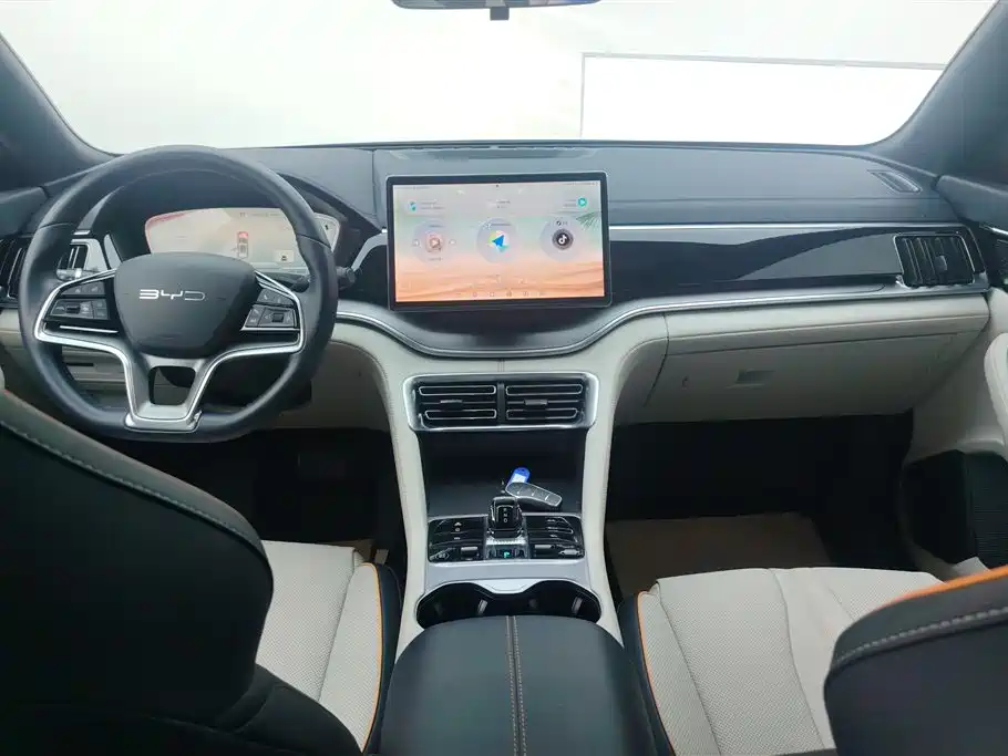 BYD PLUS New Energy 2023 — фото 12