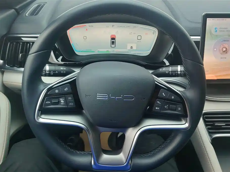 BYD PLUS New Energy 2023 — фото 15