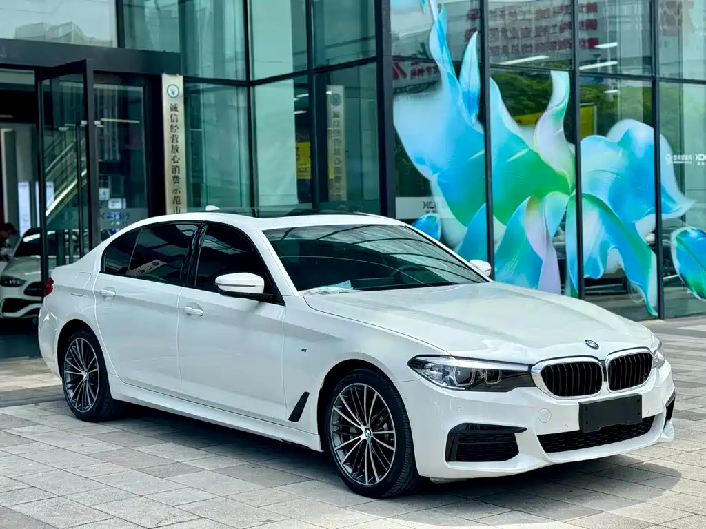 BMW 5 Series 2019 — фото 3