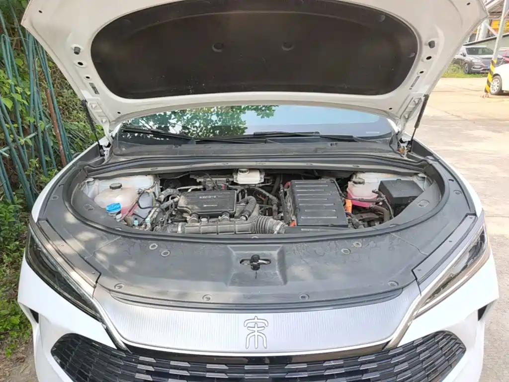 BYD L DM-i 2024 — фото 20