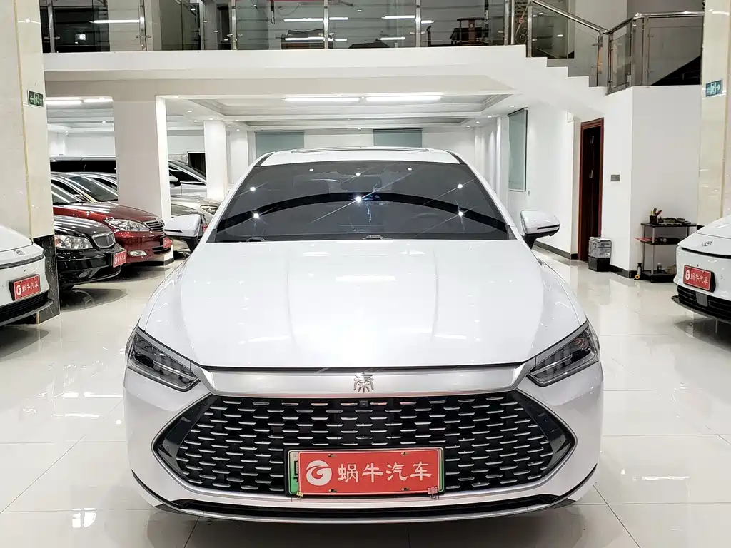 BYD Qin PLUS 2023 — фото 2