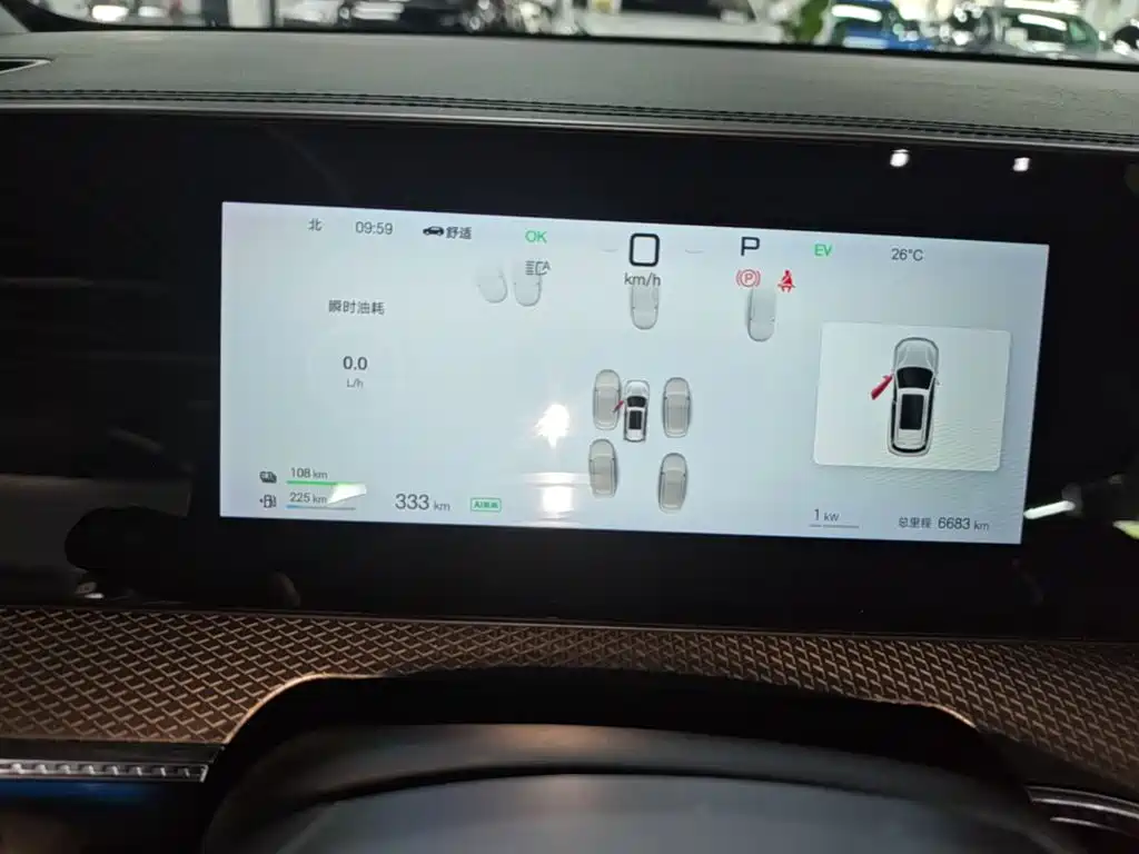 BYD Pro New Energy 2025 — фото 12