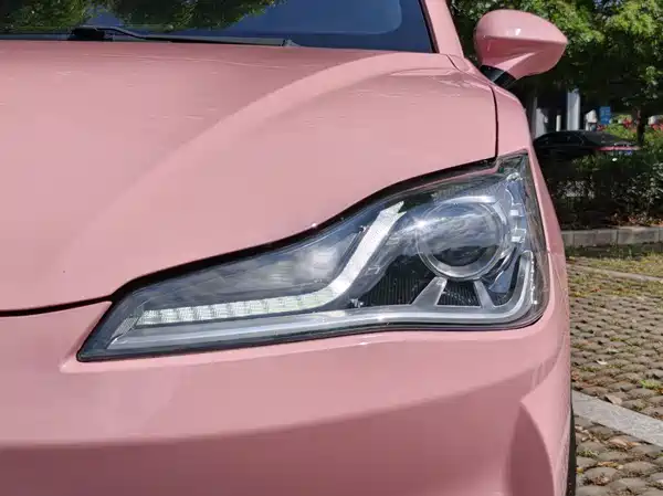 Neta V 2021