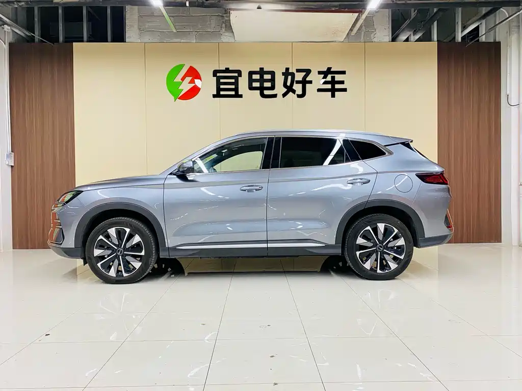 BYD PLUS New Energy 2024 — фото 4