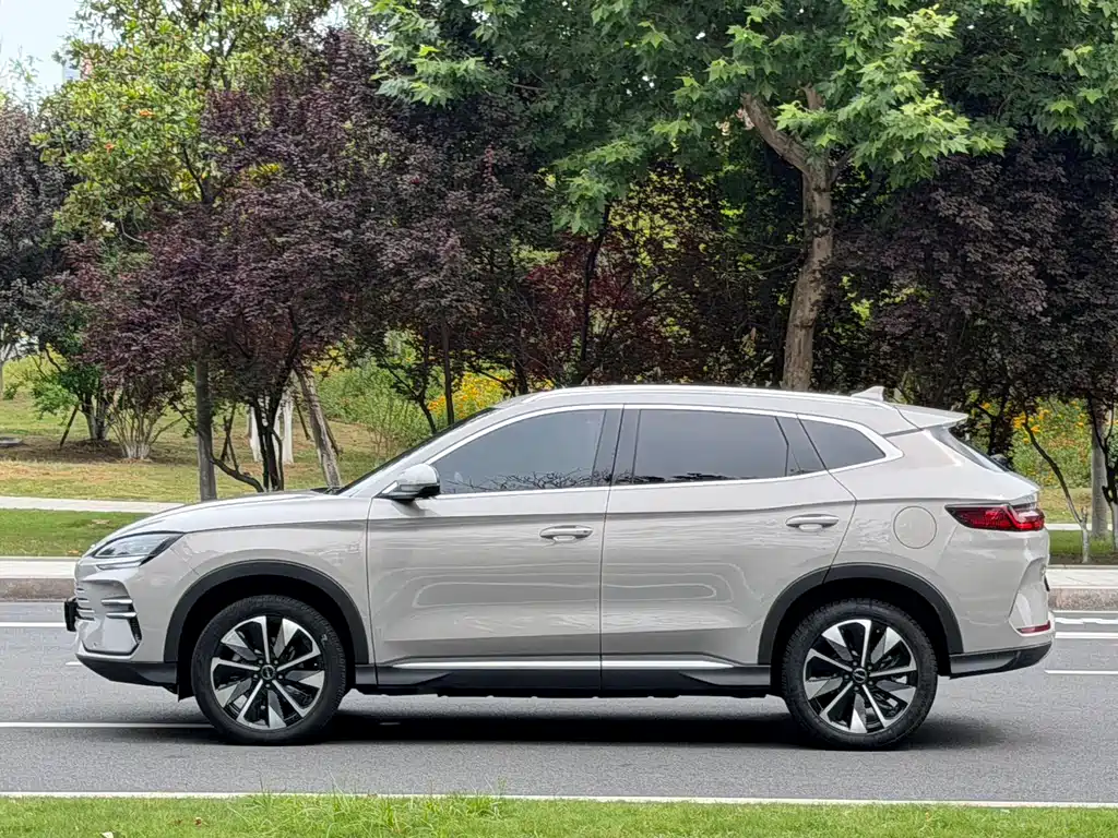 BYD PLUS New Energy 2025 — фото 11