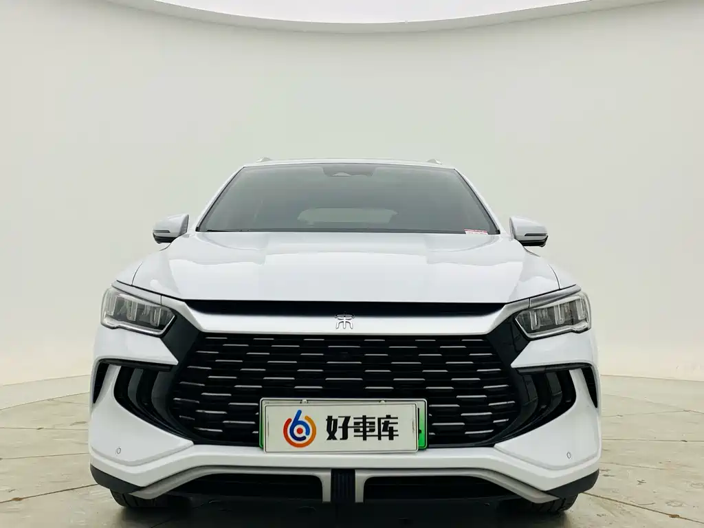 BYD Pro New Energy 2024 — фото 2