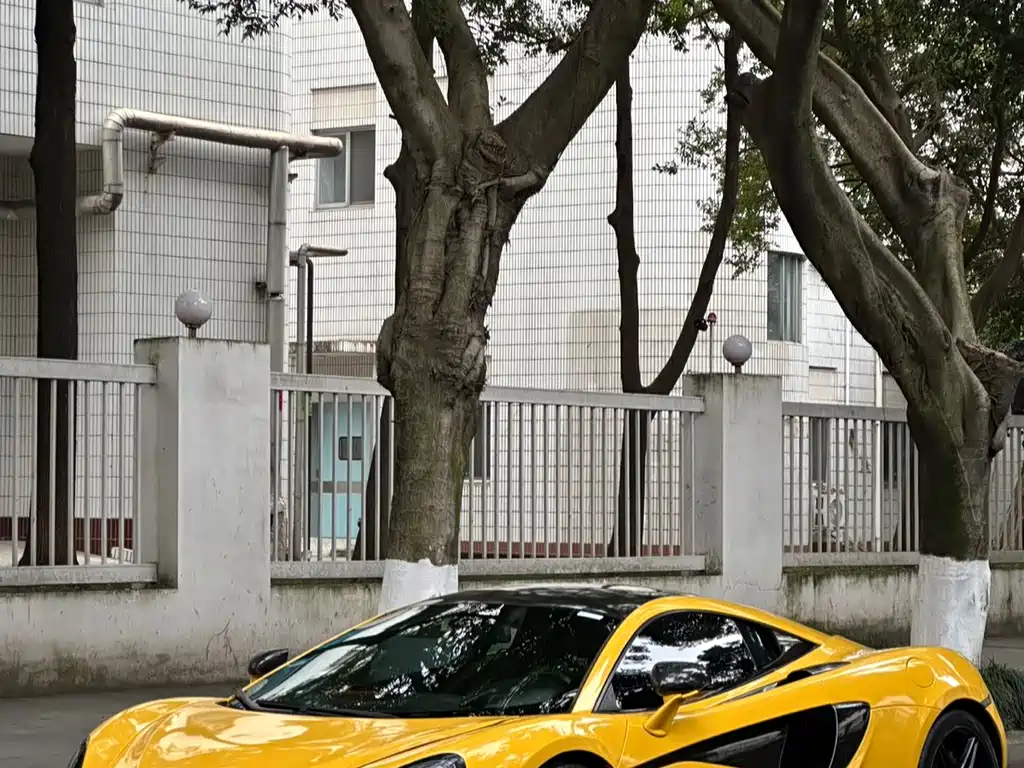 McLaren 570 2016 — фото 11
