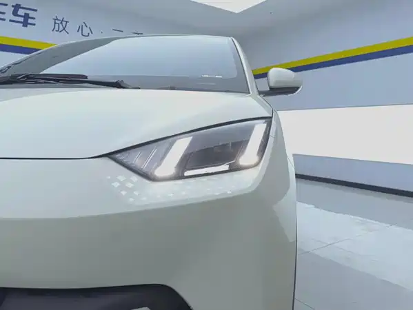 BYD Seagull 2024