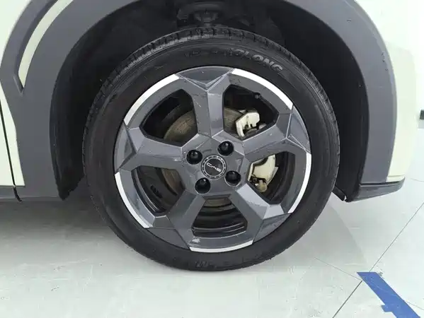 BYD Seagull 2024