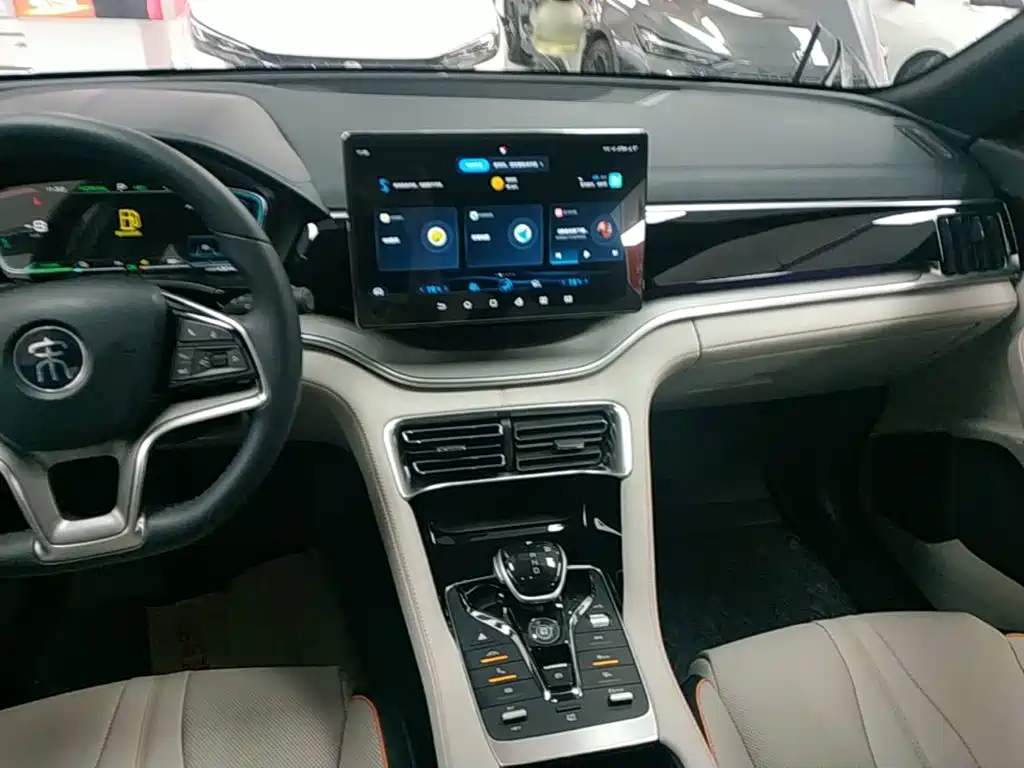 BYD PLUS New Energy 2022 — фото 13