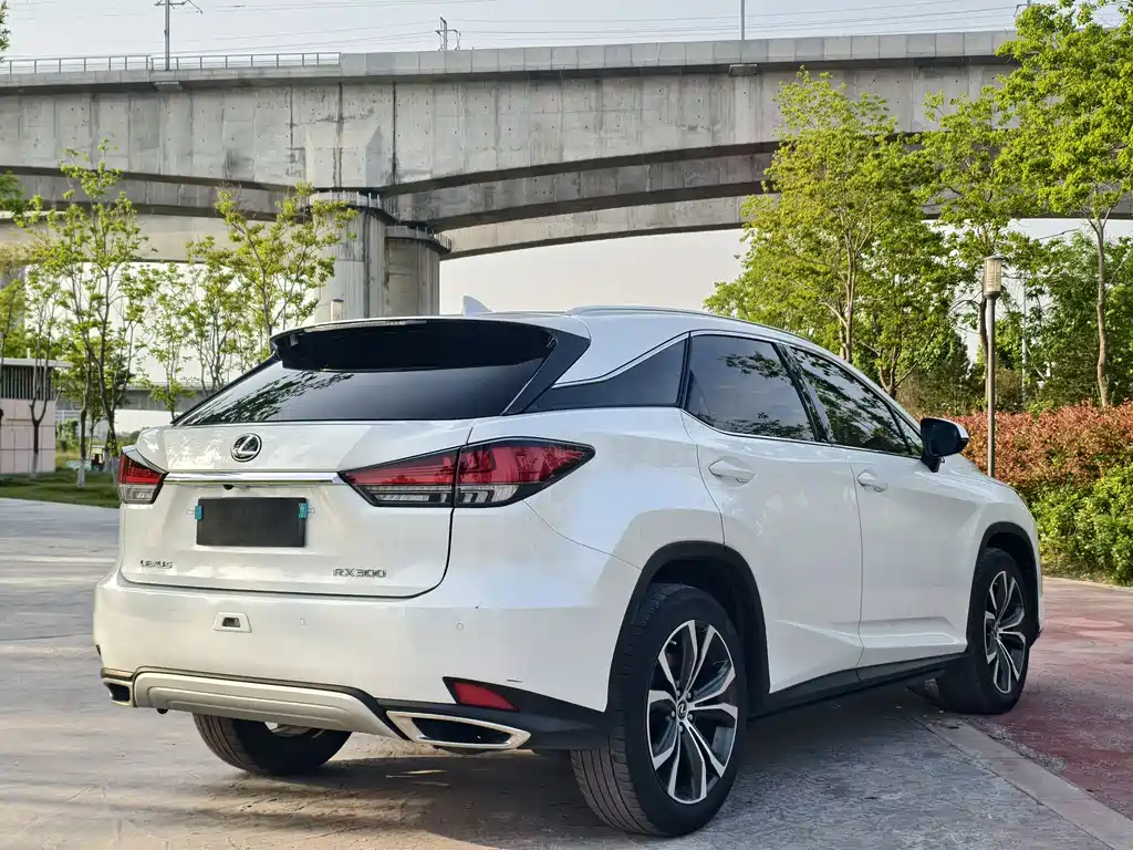 Lexus RX 2020 — фото 6