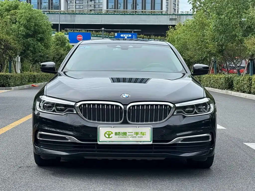 BMW 5 Series New Energy 2019 — фото 2