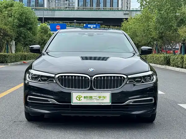 BMW 5 Series New Energy 2019