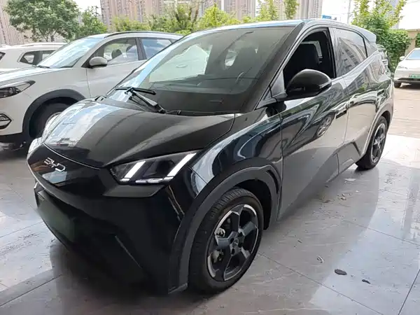 BYD Seagull 2024