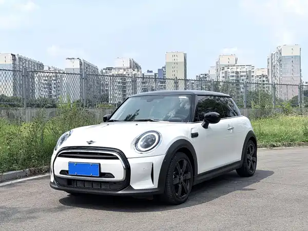 MINI MINI 2024