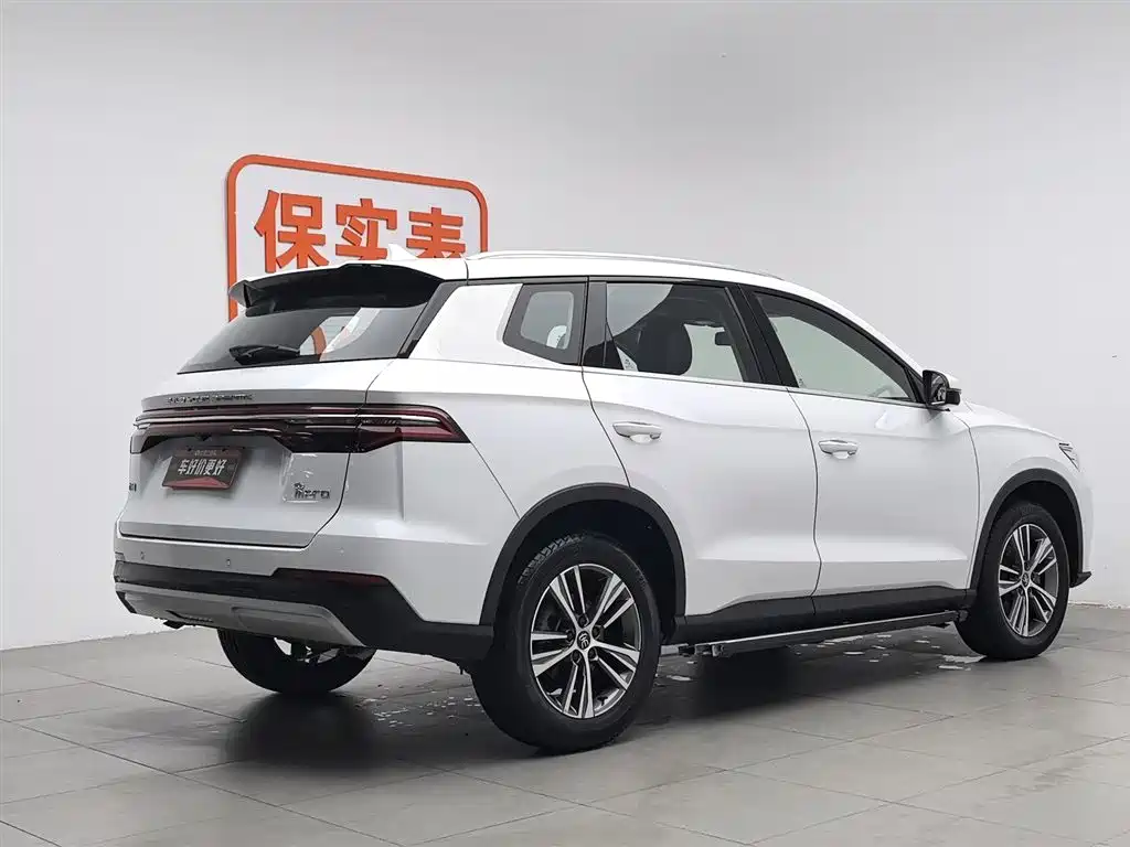 BYD Pro 2020 — фото 2