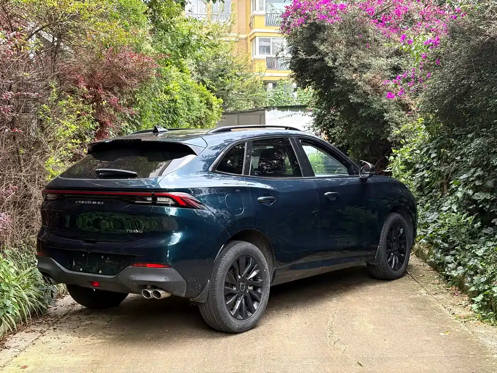 Dongfeng Fengxing T5 EVO 2021 — фото 10