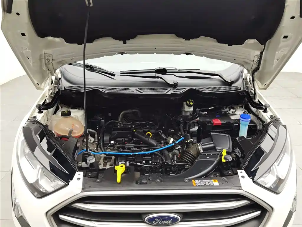 Ford Ecosport 2018 — фото 6