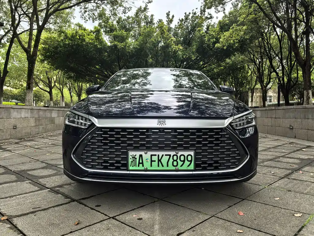 BYD Qin PLUS 2024 — фото 2