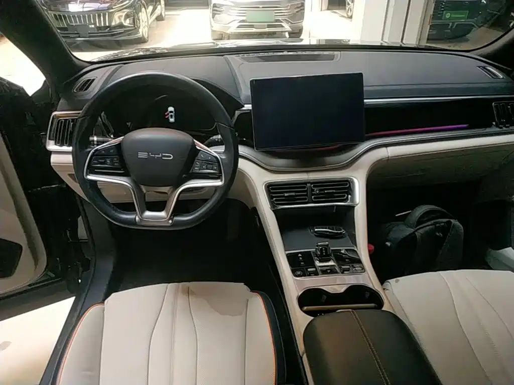 BYD PLUS New Energy 2023 — фото 10