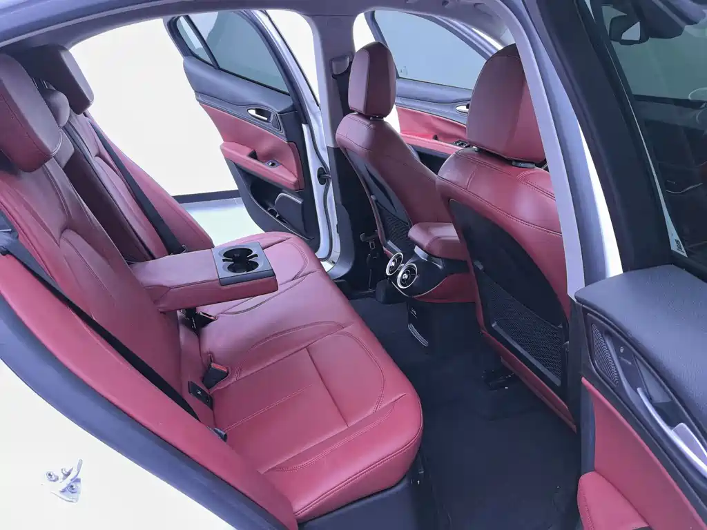 Alfa Romeo Stelvio 2019 — фото 13