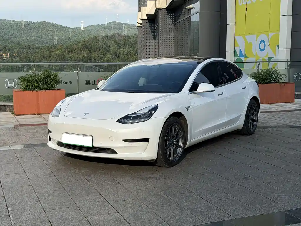Tesla Model 3 2020 — фото 1