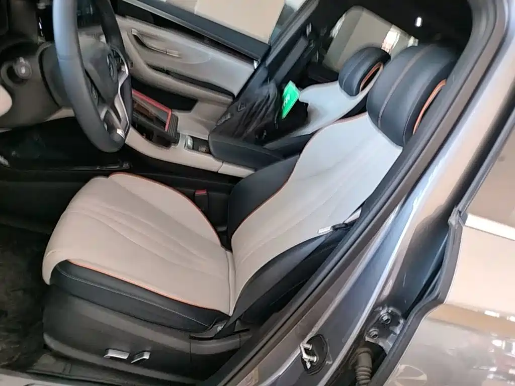 BYD PLUS New Energy 2023 — фото 15