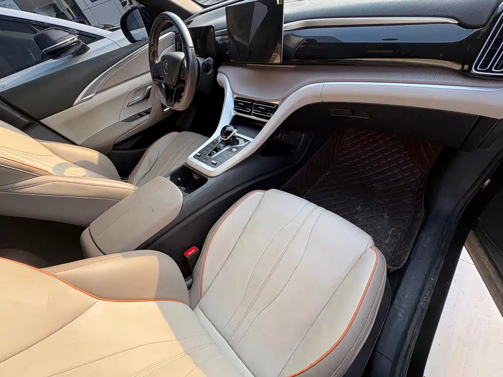 BYD Song Pro New Energy 2024 — фото 10