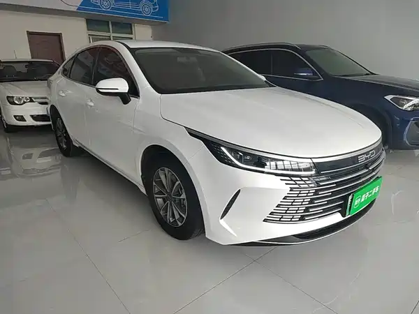 BYD Destroyer 05 2024