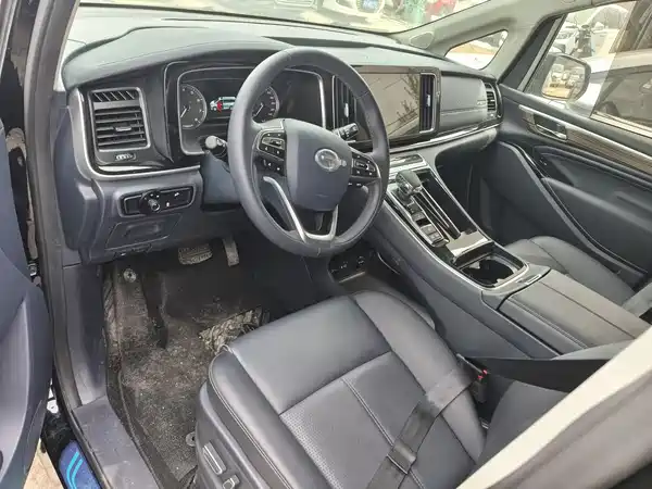 GAC Trumpchi M8 2024