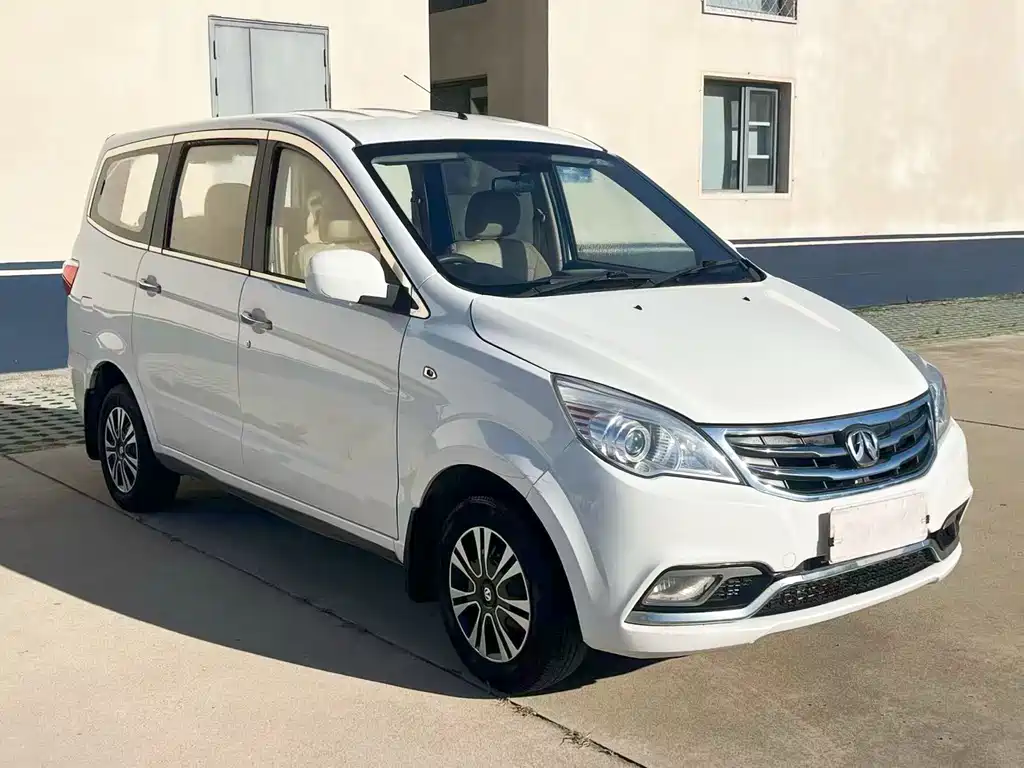 BAW Weiwang M20 2016