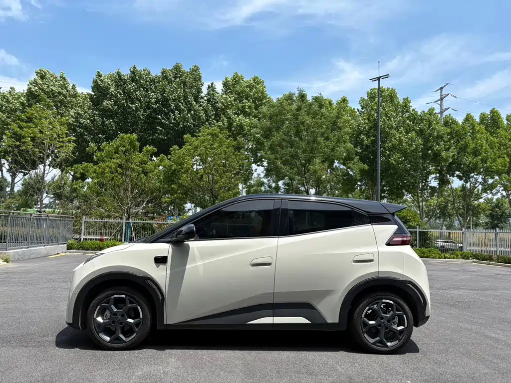 BYD Seagull 2025