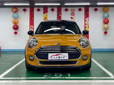 MINI MINI 2015